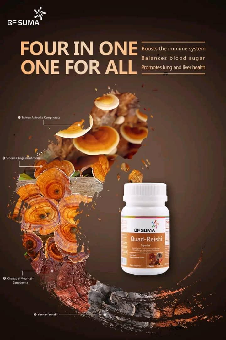 BF Suma Quad-Reishi Capsules For Immunity & Liver Health - Brivane