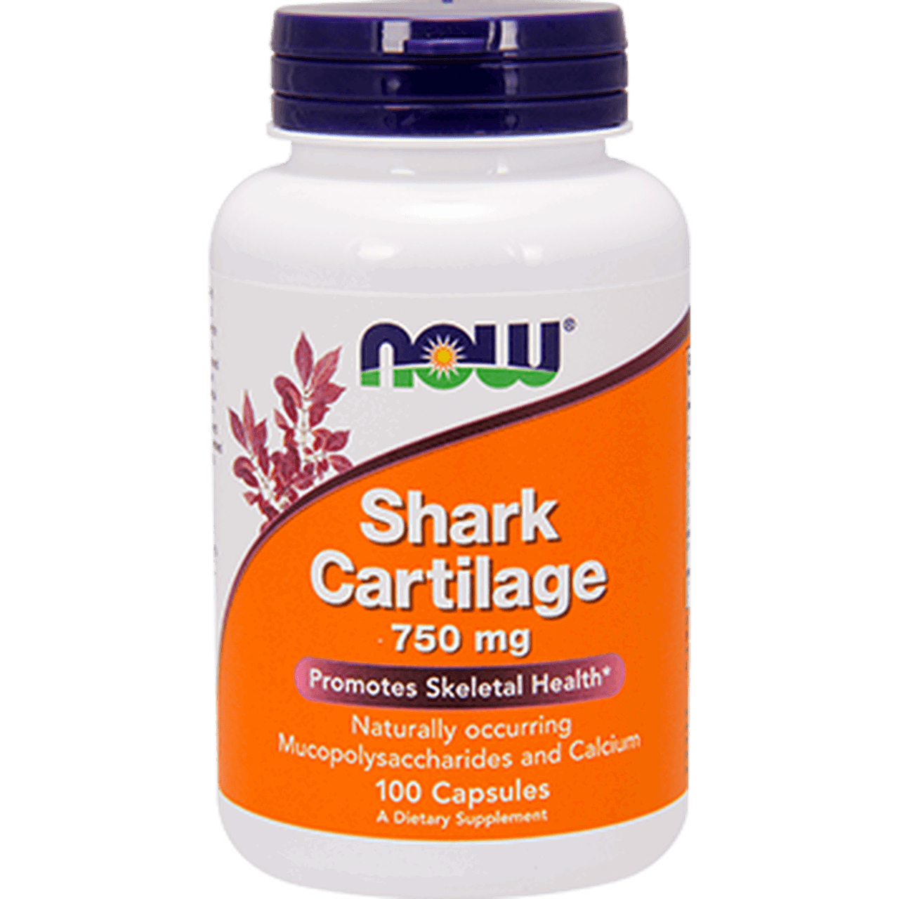 Now Shark Cartilage 750mg Capsules - Brivane